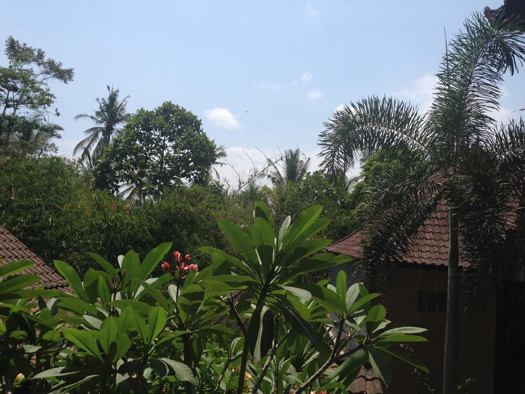 Ubud Rooms B&B Cameră foto