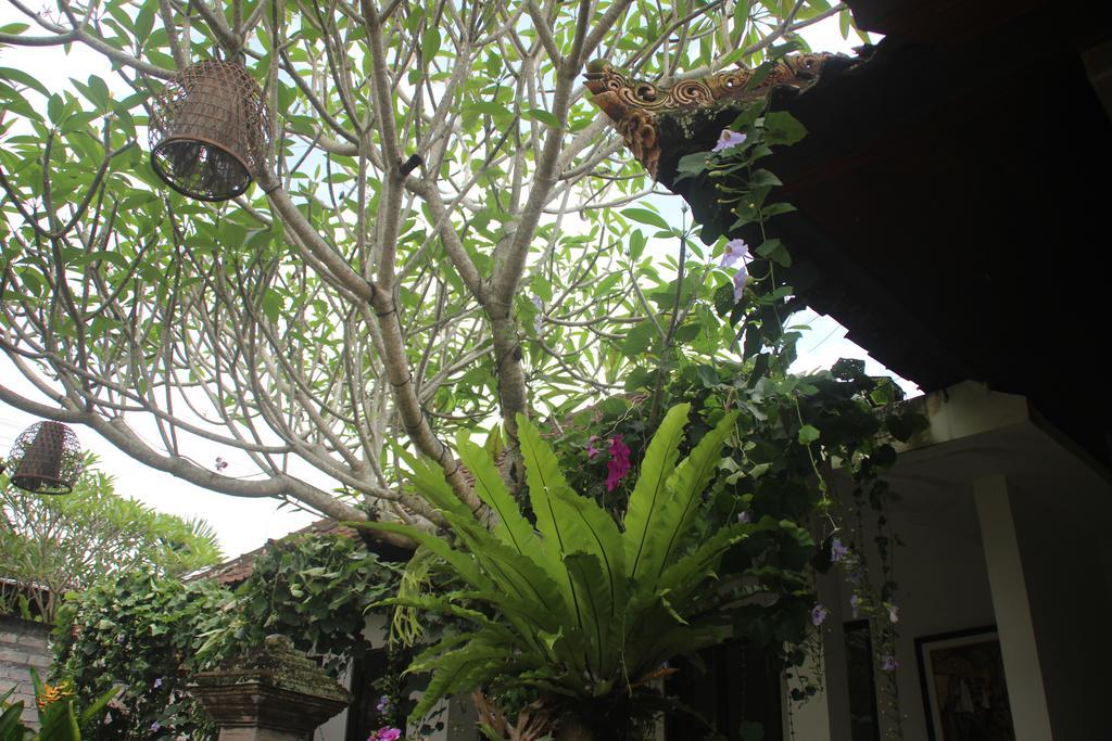 Ubud Rooms B&B Exterior foto